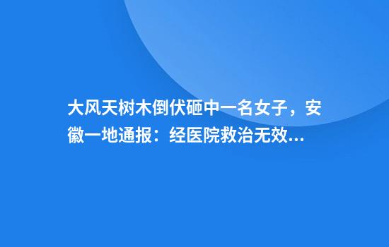 大风天树木倒伏砸中一名女子，安徽一地通报：经医院救治无效死亡