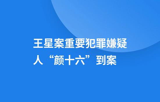 王星案重要犯罪嫌疑人“颜十六”到案