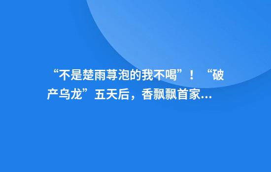 “不是楚雨荨泡的我不喝”！“破产乌龙”五天后，香飘飘首家线下奶茶店开业