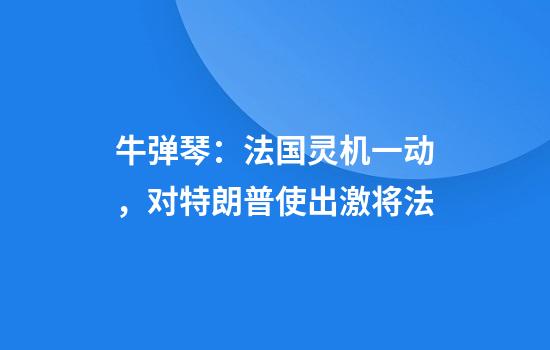 牛弹琴：法国灵机一动，对特朗普使出激将法