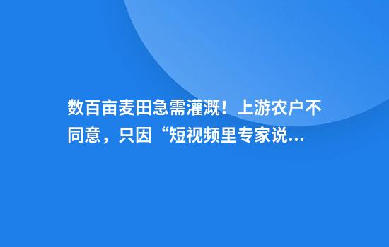 数百亩麦田急需灌溉！上游农户不同意，只因“短视频里专家说不需要”