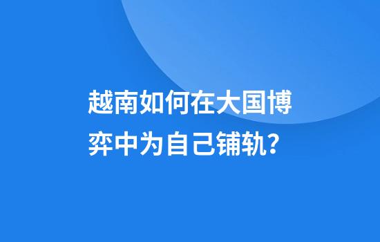 越南如何在大国博弈中为自己铺轨？