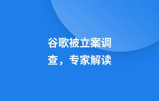 谷歌被立案调查，专家解读