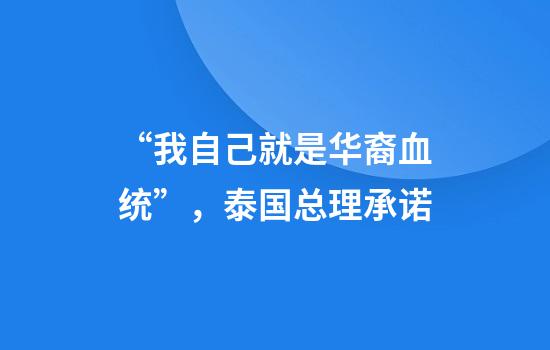 “我自己就是华裔血统”，泰国总理承诺