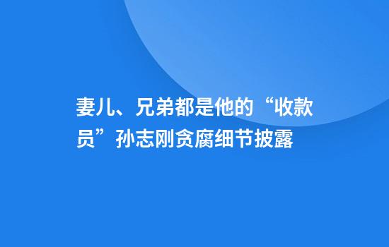 妻儿、兄弟都是他的“收款员”孙志刚贪腐细节披露