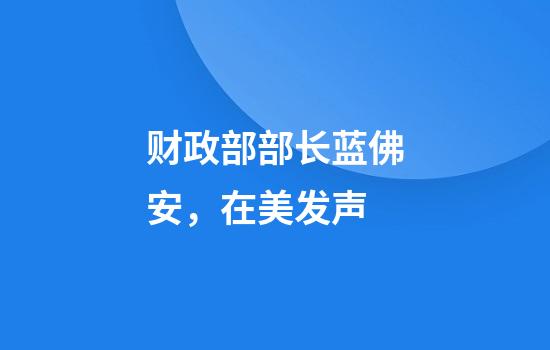 财政部部长蓝佛安，在美发声