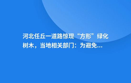 河北任丘一道路惊现“方形”绿化树木，当地相关部门：为避免接触高压电线