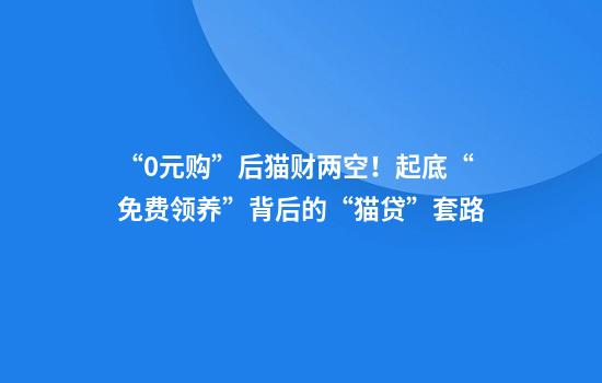 “0元购”后猫财两空！起底“免费领养”背后的“猫贷”套路