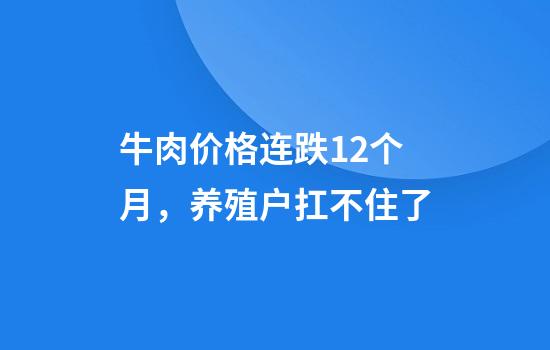 牛肉价格连跌12个月，养殖户扛不住了