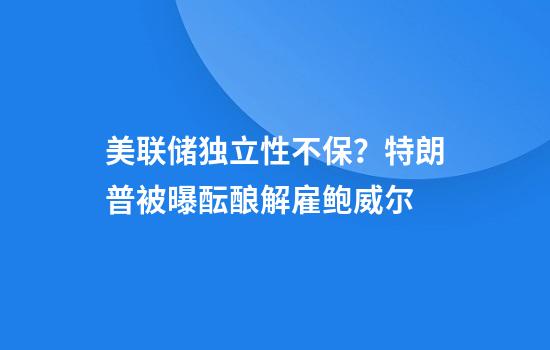 美联储独立性不保？特朗普被曝酝酿解雇鲍威尔