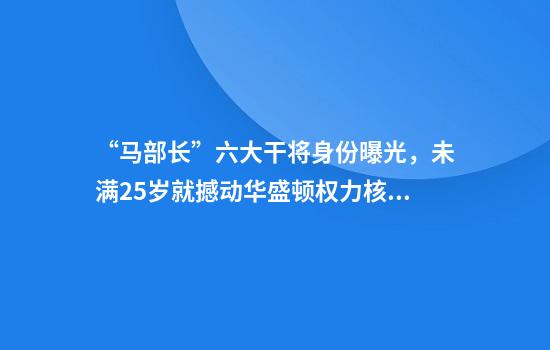 “马部长”六大干将身份曝光，未满25岁就撼动华盛顿权力核心