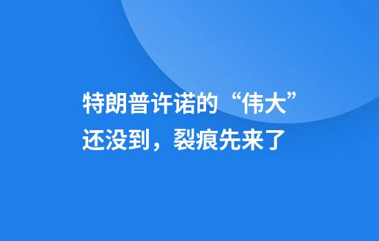 特朗普许诺的“伟大”还没到，裂痕先来了