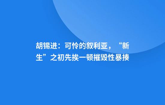 胡锡进：可怜的叙利亚，“新生”之初先挨一顿摧毁性暴揍