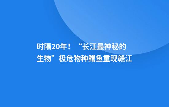 时隔20年！“长江最神秘的生物”极危物种鳤鱼重现赣江