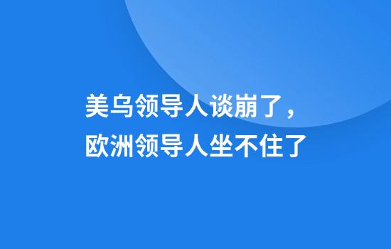 美乌领导人谈崩了，欧洲领导人坐不住了