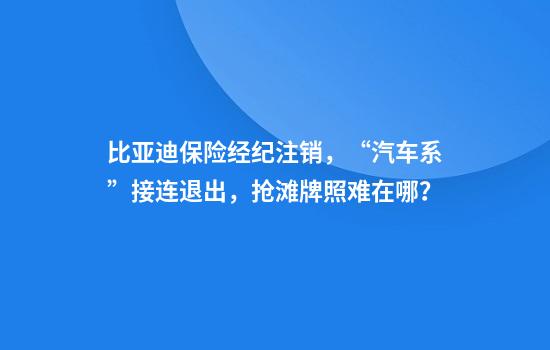 比亚迪保险经纪注销，“汽车系”接连退出，抢滩牌照难在哪？