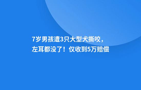 7岁男孩遭3只大型犬撕咬，左耳都没了！仅收到5万赔偿
