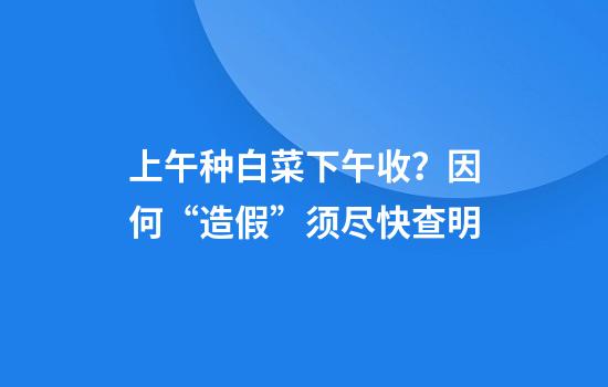 上午种白菜下午收？因何“造假”须尽快查明
