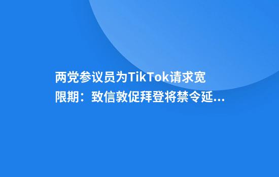 两党参议员为TikTok请求宽限期：致信敦促拜登将禁令延后90天