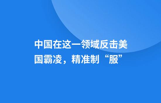 中国在这一领域反击美国霸凌，精准制“服”
