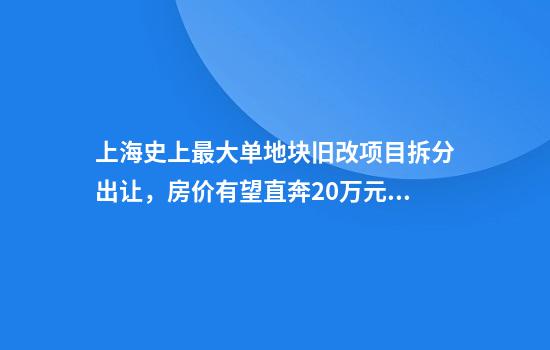 上海史上最大单地块旧改项目拆分出让，房价有望直奔20万元平方米