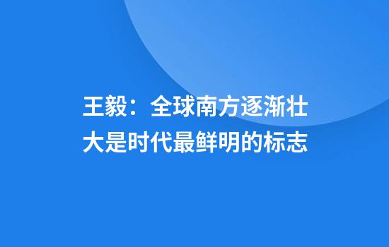 王毅：全球南方逐渐壮大是时代最鲜明的标志