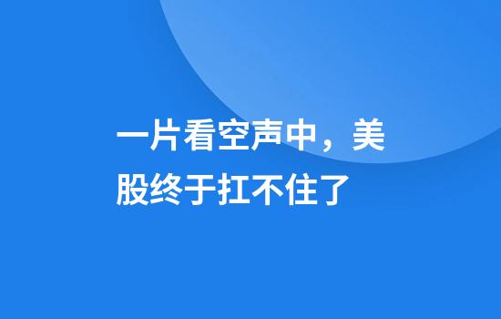 一片看空声中，美股终于扛不住了
