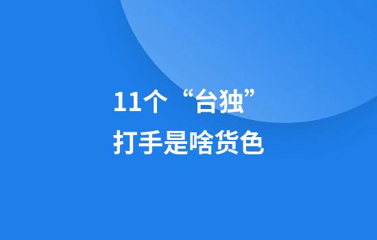 11个“台独”打手是啥货色