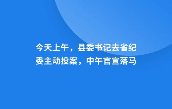 今天上午，县委书记去省纪委主动投案，中午官宣落马