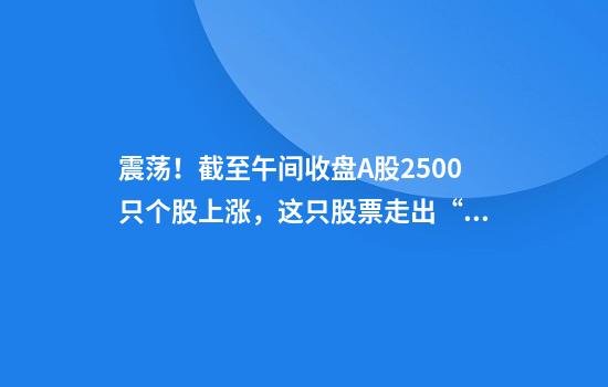 震荡！截至午间收盘A股2500只个股上涨，这只股票走出“地天板”