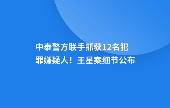 中泰警方联手抓获12名犯罪嫌疑人！王星案细节公布