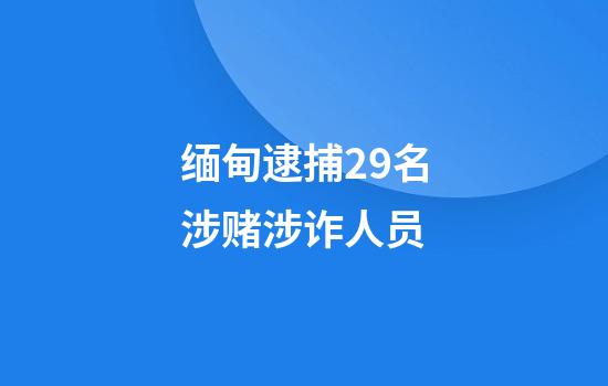 缅甸逮捕29名涉赌涉诈人员