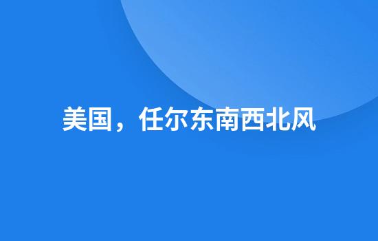 美国，任尔东南西北风