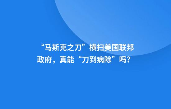 “马斯克之刀”横扫美国联邦政府，真能“刀到病除”吗？