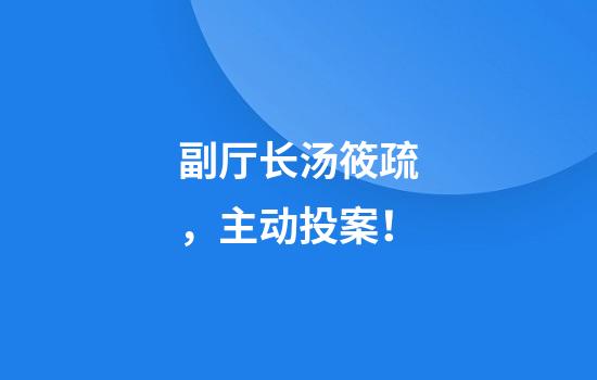 副厅长汤筱疏，主动投案！