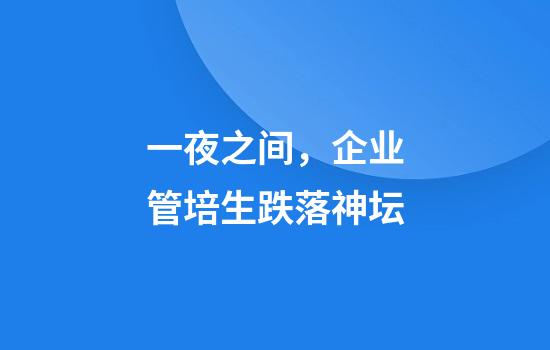 一夜之间，企业管培生跌落神坛