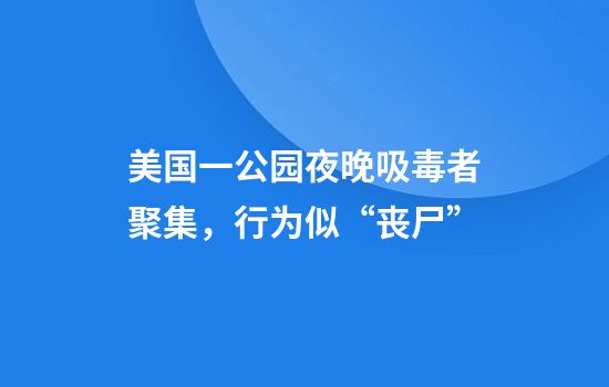 美国一公园夜晚吸毒者聚集，行为似“丧尸”