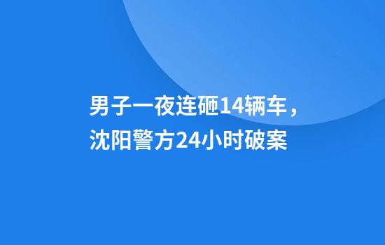 男子一夜连砸14辆车，沈阳警方24小时破案