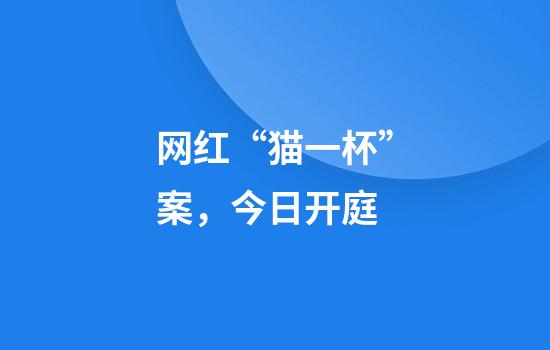 网红“猫一杯”案，今日开庭