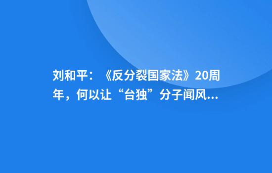 刘和平：《反分裂国家法》20周年，何以让“台独”分子闻风丧胆？