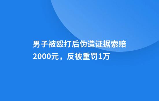 男子被殴打后伪造证据索赔2000元，反被重罚1万