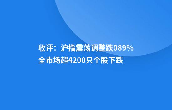 收评：沪指震荡调整跌0.89%全市场超4200只个股下跌