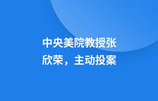 中央美院教授张欣荣，主动投案