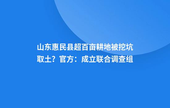 山东惠民县超百亩耕地被挖坑取土？官方：成立联合调查组