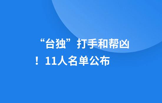 “台独”打手和帮凶！11人名单公布