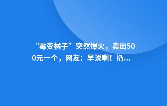 “霉变橘子”突然爆火，卖出500元一个，网友：早说啊！扔了好多……