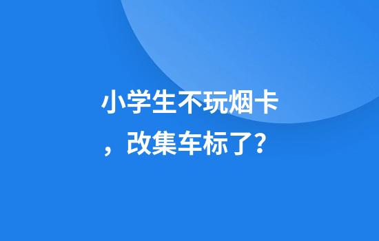 小学生不玩烟卡，改集车标了？