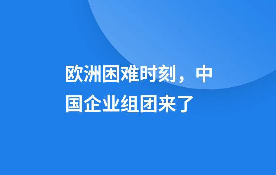 欧洲困难时刻，中国企业组团来了