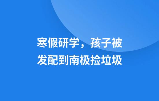 寒假研学，孩子被发配到南极捡垃圾