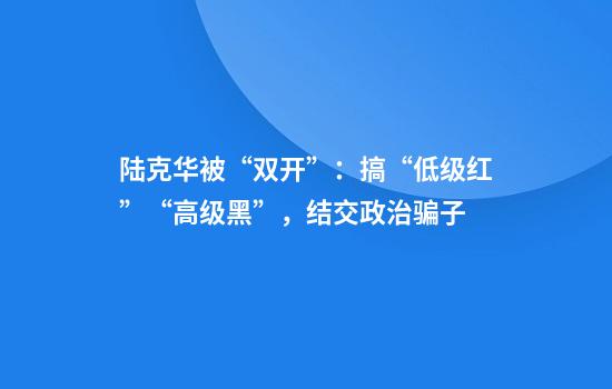 陆克华被“双开”：搞“低级红”“高级黑”，结交政治骗子